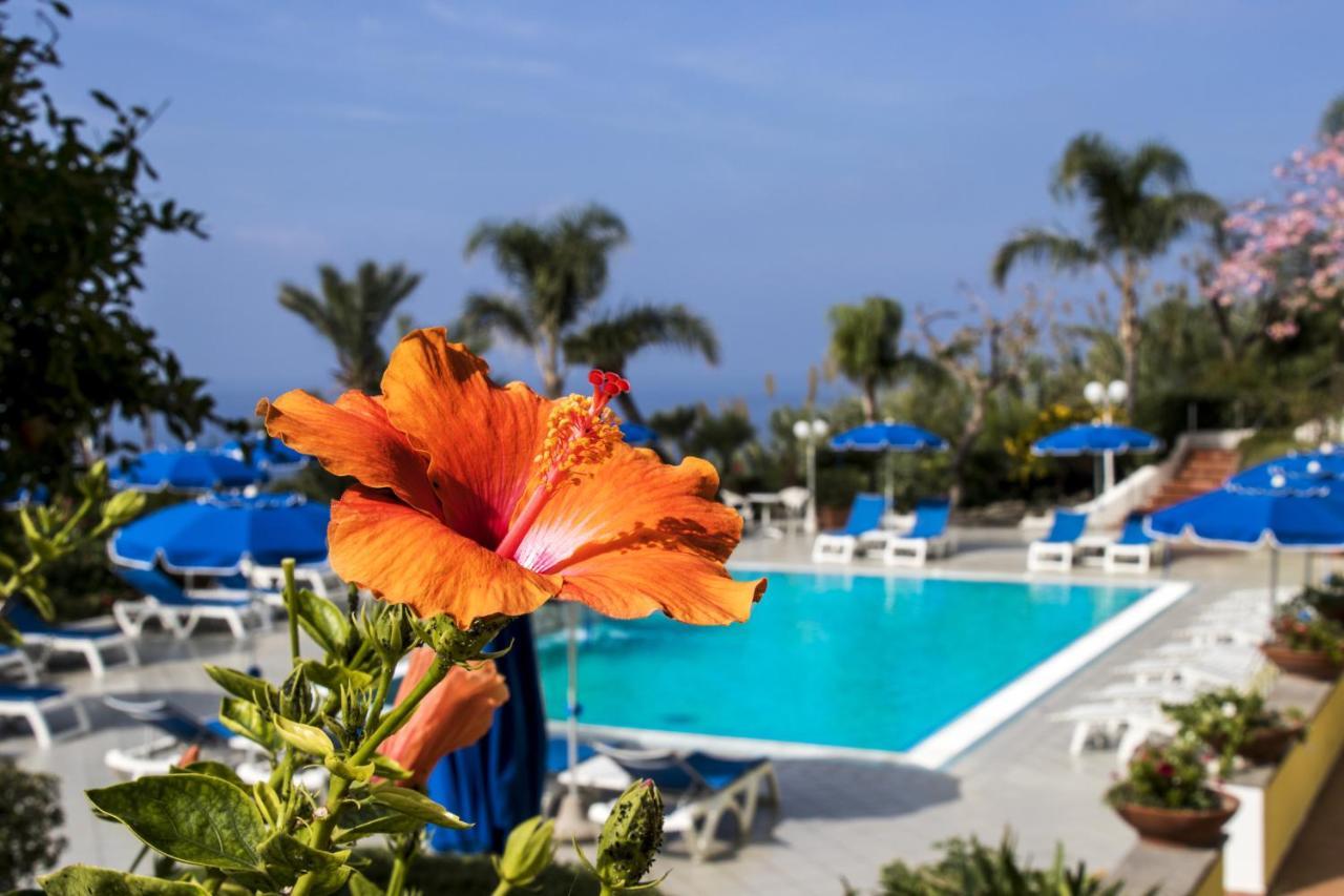 Capizzo Hotel Forio di Ischia